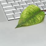 Paperless-Ideas-Sobul-Primes-Schenkel-CPA-Los-Angeles